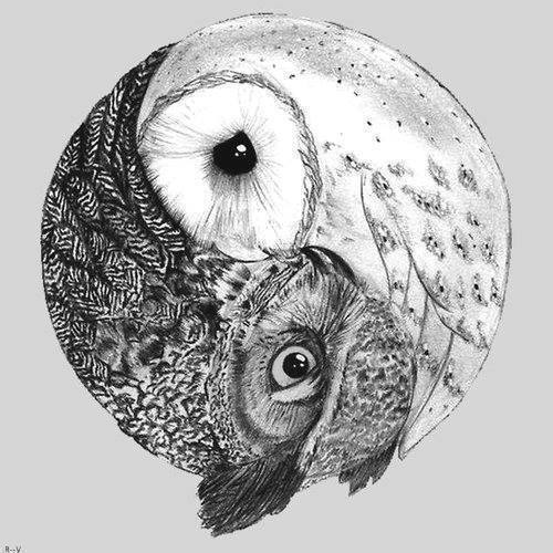 dominickpuentes:  owls | via Facebook en We Heart It. http://weheartit.com/entry/80559924/via/mariarv23