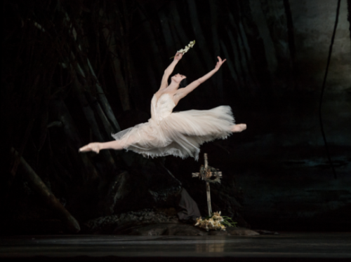 labelle-rose:Natalia Osipova in ROH GisellePhoto Credit: Click on Photos for Caption