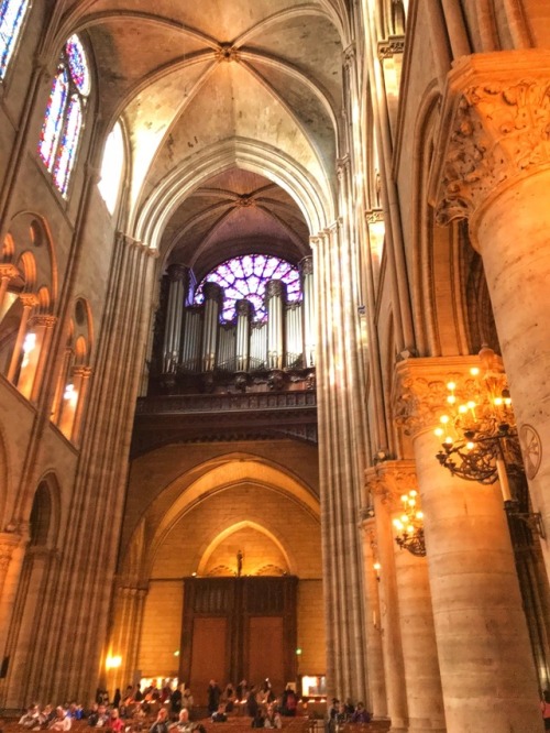 Intérieur avec arcades gothiques, rosace et orgue, cathédrale Notre Dame, Paris, 2017.