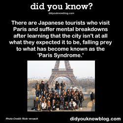 Did-You-Kno:  There Are Japanese Tourists Who Visit Paris And Suffer Mental Breakdowns