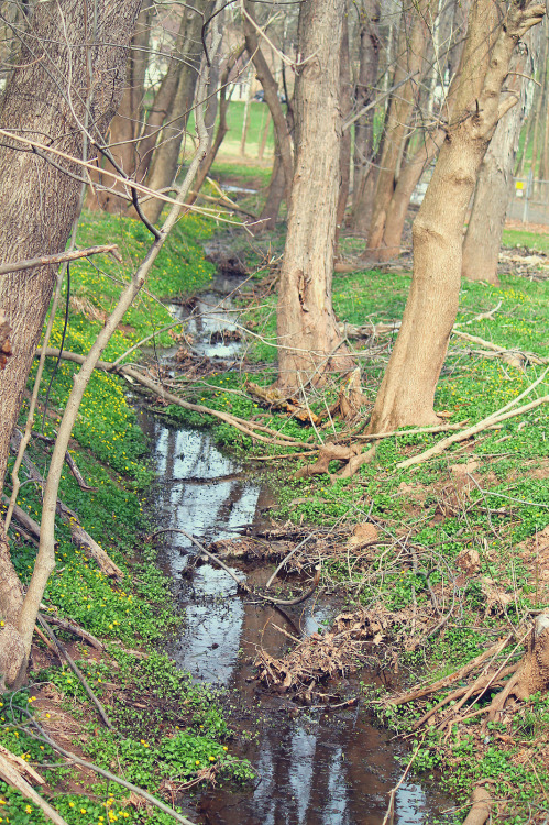 The Perkiomen Trail, Collegeville, PA