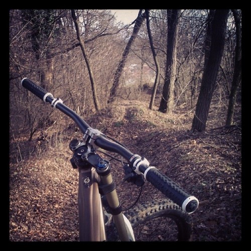 dhbeno:  Had some fun today :D #downhill #freeride #localtrail #jumps #winter #awesome #happy