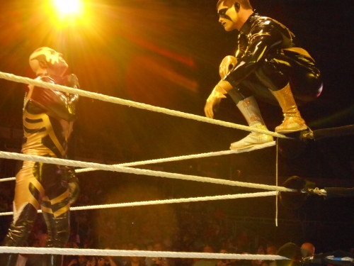 rollinslayer:  WWE Live; June 20th, 2014 adult photos