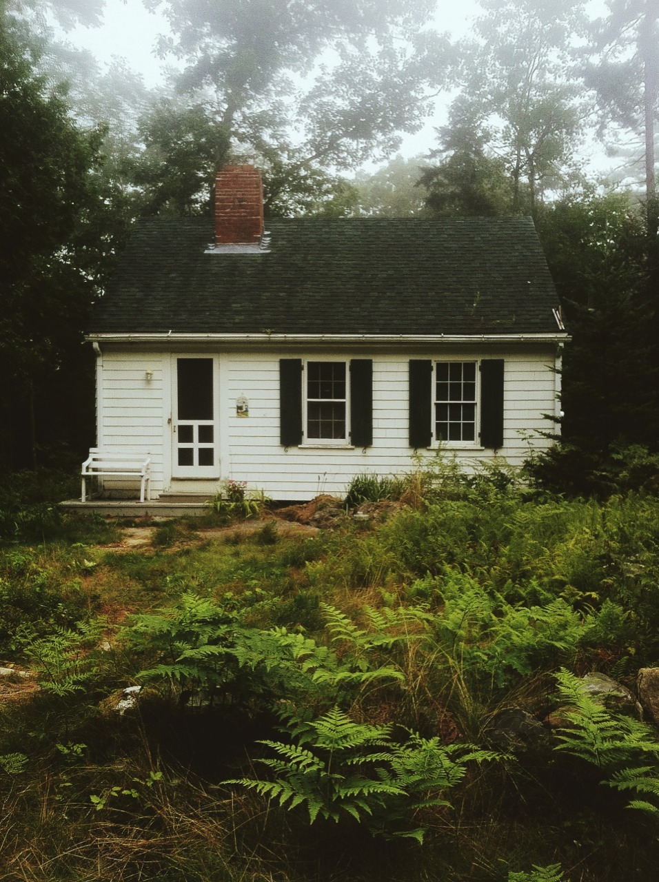 mildew:  well this is my cottage in maine and we don’t have running water and as