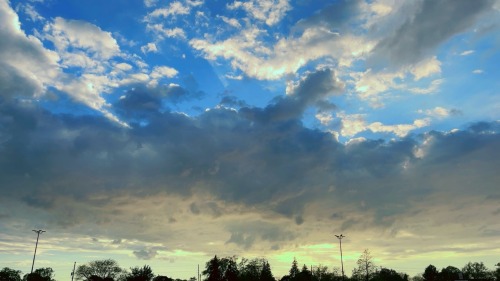 The Sky Today ☁️ 