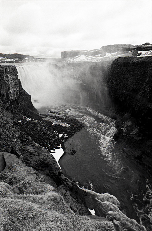 Dettifoss (by thecheekyscamp)