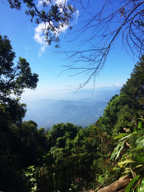 trailsfromhales:  Photos from the bike trip