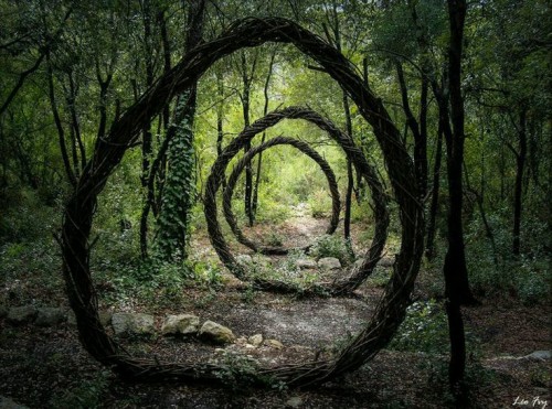 yes-it-s-helu-bitches:What a beautiful forest