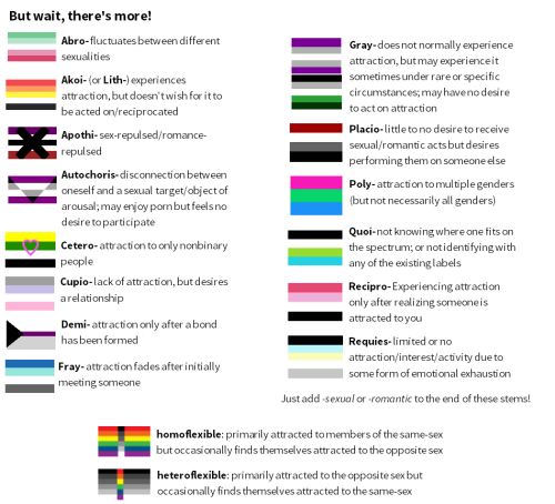 mxcleod:mmikan:Here’s information about sexual/romantic orientations and gender identities that 