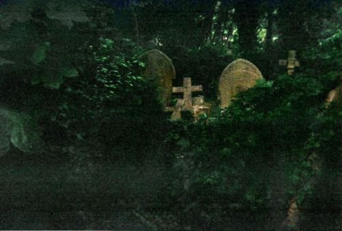 kaosochharmoni:Highgate Cemetery 2011