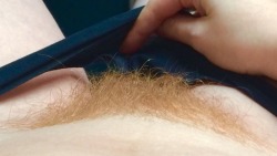 My ginger pubes v2 