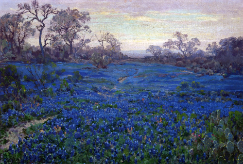 cerceos:Robert Julian OnderdonkBlue Bonnets at Late Afternoon, 1915Bluebonnet Field, 1912Fields of B