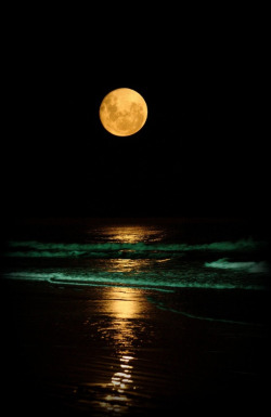 omgwang:  Full moon over the shore 