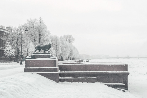 Admiralty embankment in winter, Saint Petersburg, Russia