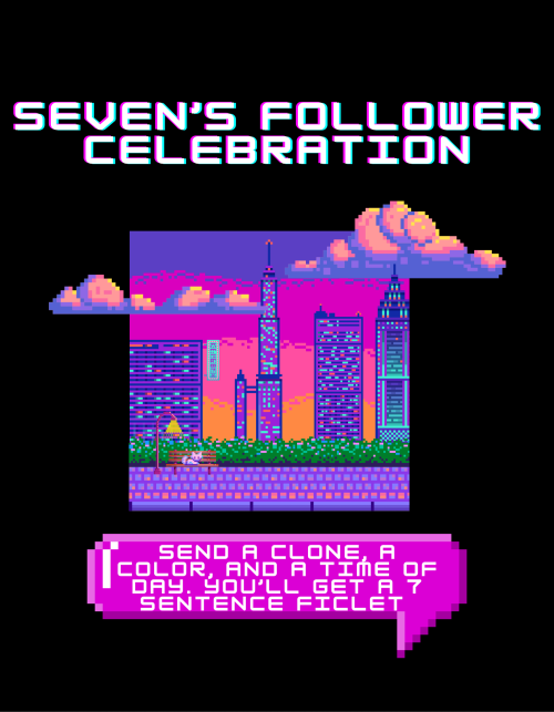 Sevs Follower Celebration