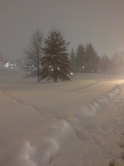 wunderlast:walkin through burlington vermont in a near blizzard with a belly full of whiskey looks a lil bit like this