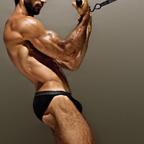 walter-savage-xar:   