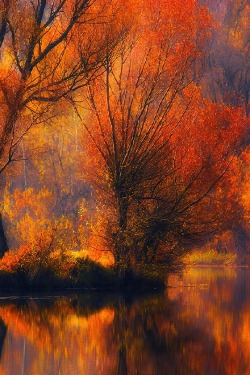 ponderation:  a small autumn by Andy58 