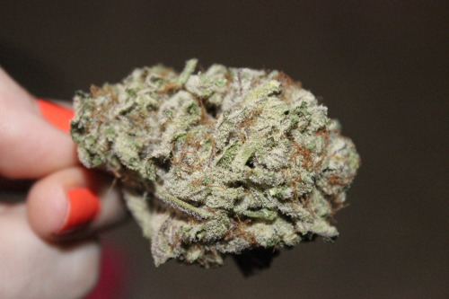 sweetstoner:  frosty blackberry