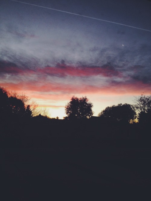 okmorgan:  luna looked so pretty the other day 