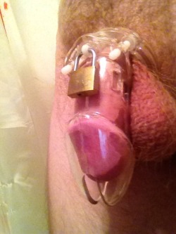 hugebootybondagefemdom:  Back in my cage, where I belong. She gave me the privilege of a ruined orgasm with a face full of ass before locking me away again. 