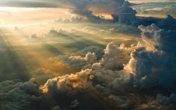 Eyes to the Skies