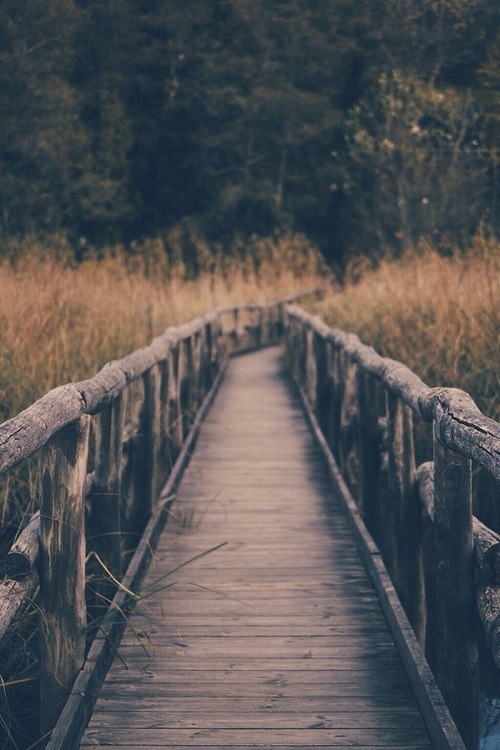 Nothing is in vain.