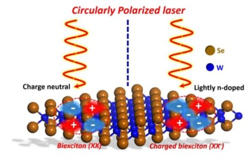  Research on light-matter interaction could improve electronic and optoelectronic devicesFundamental