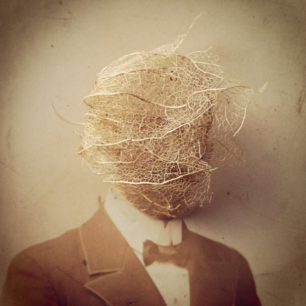 asylum-art-2:    Susana Blasco:“ANTIHEROES”   on Behance Susana Blasco is a