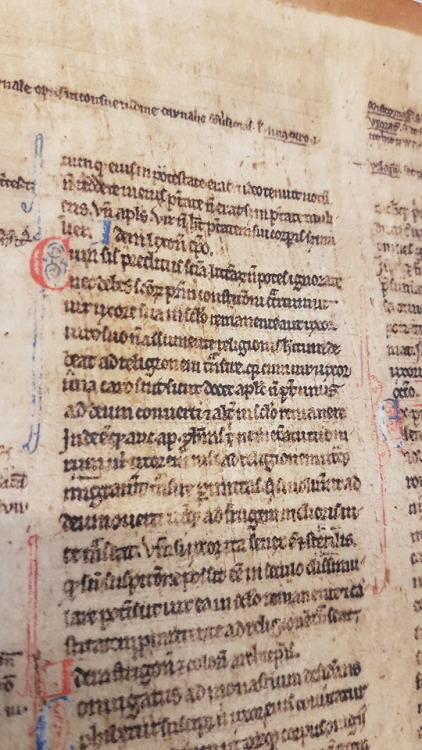 LJS 35 - Manuscript leaves from a canon law textSometimes even a couple of leaves can tell us so muc