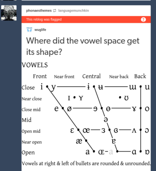 linguist-breakaribecca: phonaesthemes: THOSE ARE BACK VOWELS NOT WIDELY-SPACED BOOBS I S2G TUMBLR Th