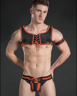 mr-s-leather:  GRIDIRON GEAR Get in the game! #cellblock13