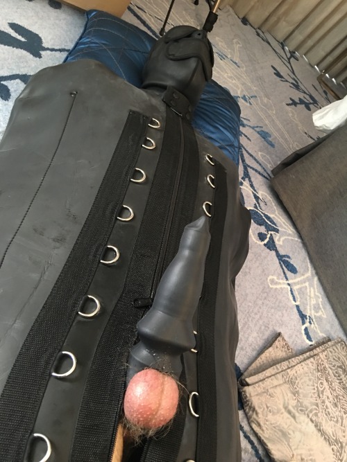 Pup had a great time in the sleepsack… Love having him helpless… Just one zip at the back and his ass was mine.