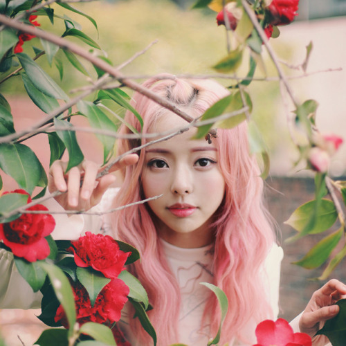 fyloona:  170407 LOOΠΔ Official Website Update - VIVI