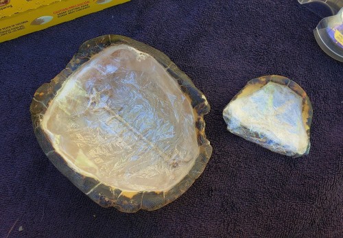 A little how-to on shining up this turtle shell! I used tape and plastic wrap to cover the bone area