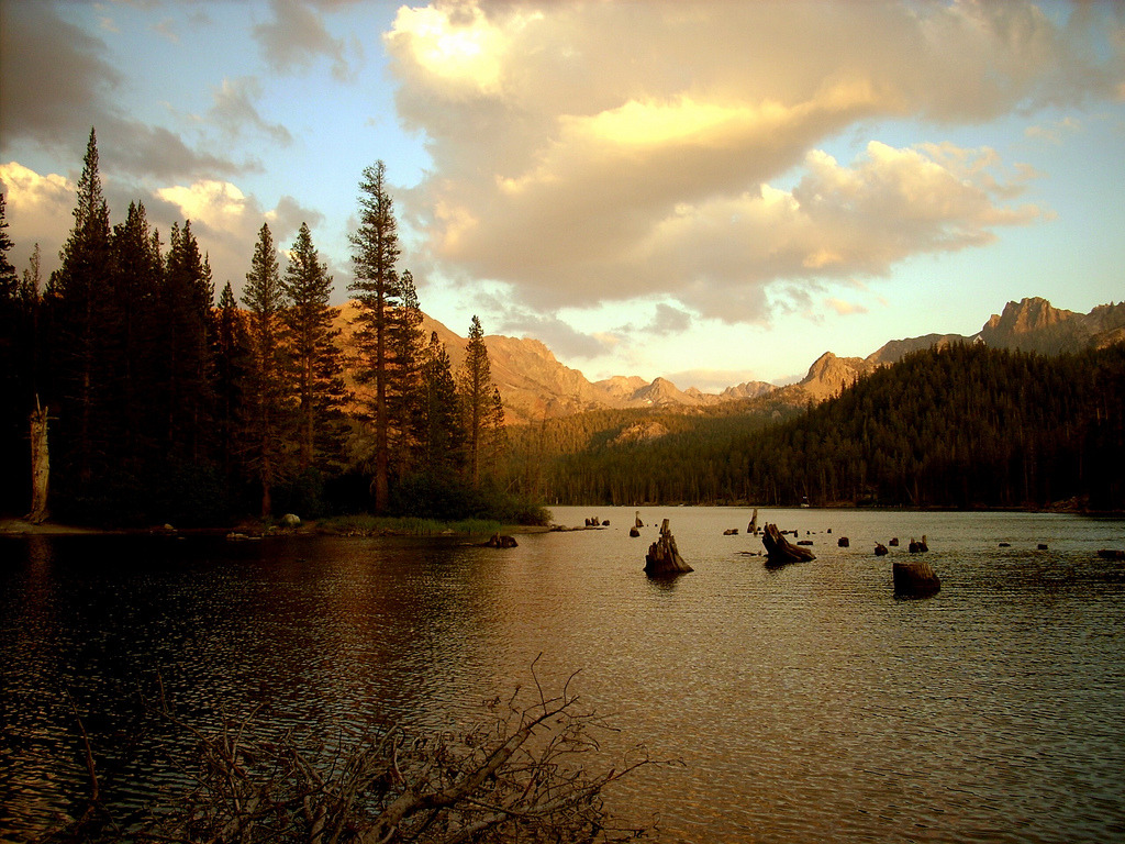A Nature Blog