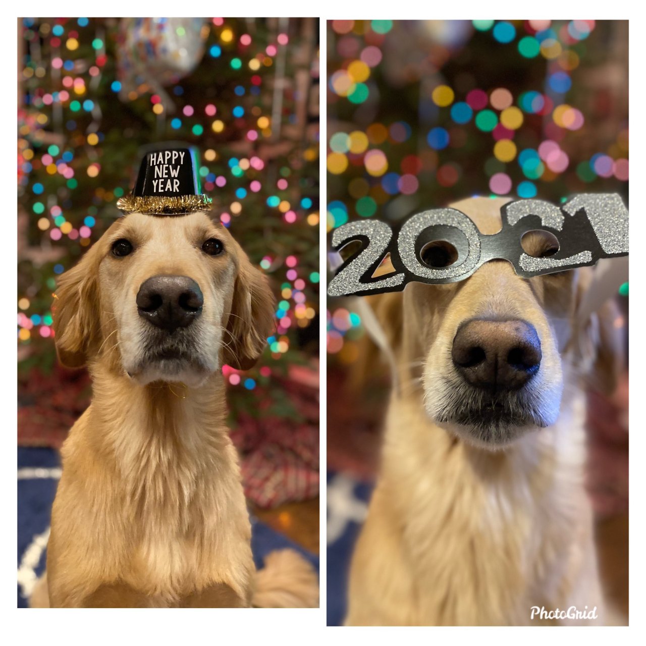 Happy New Year!! 2021 better be better!  (via Amanda Mazey)