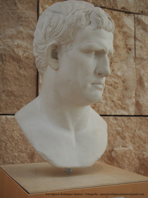 thesilenceofthemarble:Portrait bust of Agrippa, 1st century AC, Augustae Ara Pacis Museum, Rome, Ita