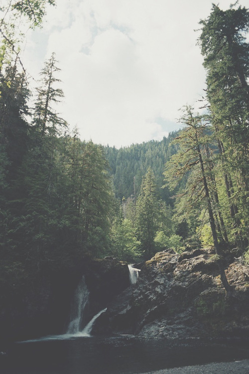 sk-eptic:    ~ vertical vintage/nature ~ 