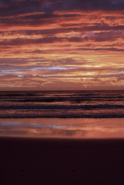 breathtakingdestinations:  Manly - Australia (von nigelhowe)