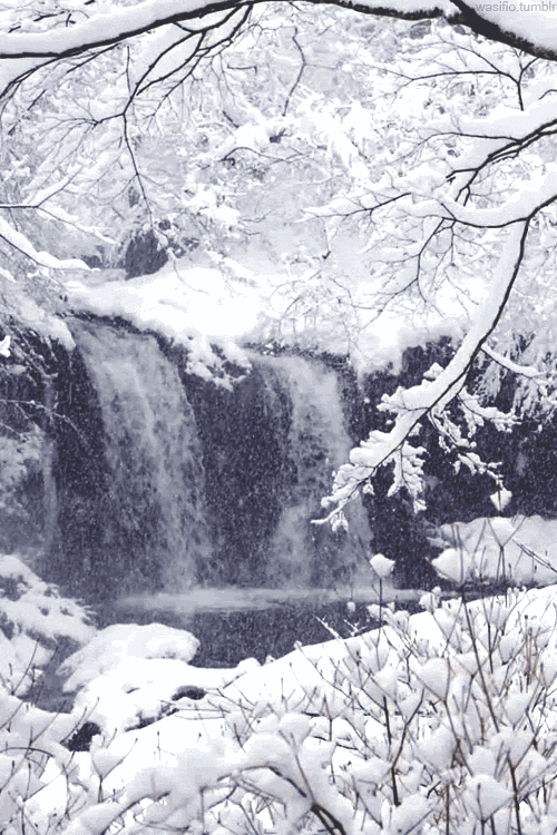 heythisismystupidblog:  I love summer - but, I’m almost excited for winter and