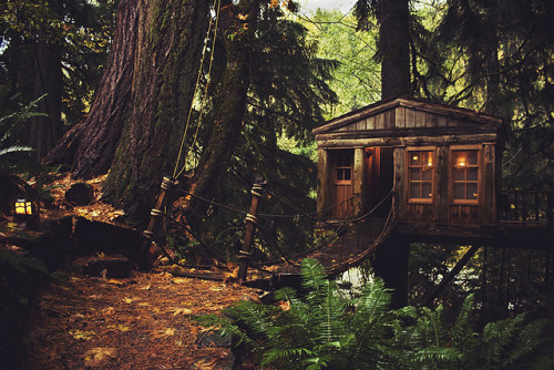 trvl:  Tree People by Jasmine Fitzwilliam on Flickr.