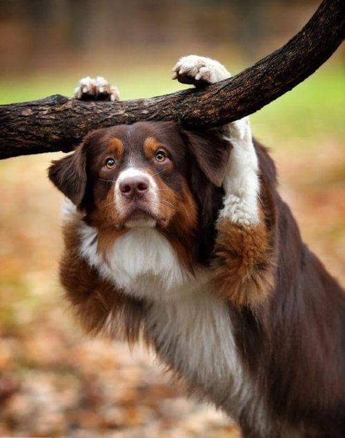 Just hanging around.