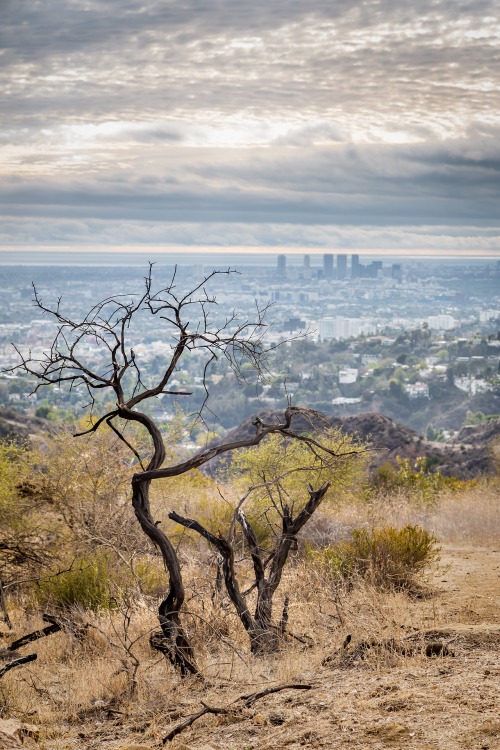 LA is in the middle of a desert. Los Angeles, CA