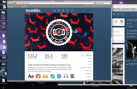 Tumblr media