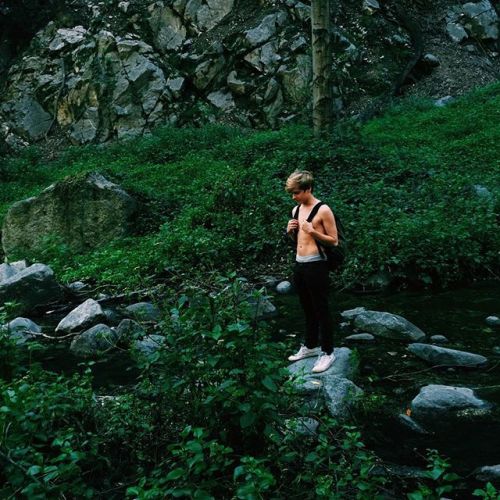 lxkekorns:lukekorns: The woods x