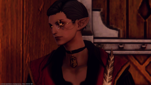 the most eligble bachelor of ishgard with the shortest ears(victore de dzemael, he/him)