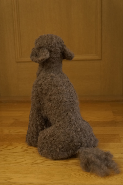 It is the work of the needle felt.His name is Yamato. It is a toy poodle of dun.He is loved by the v