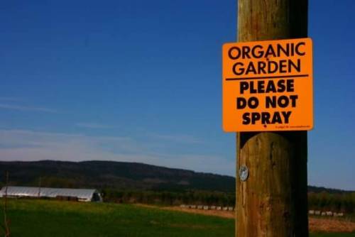 explodinggirl:Heifer Ranch in Perryville, Arkansas is where I gained my love of gardening and animal