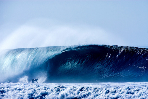 the-ocean-paradise:  pure ocean